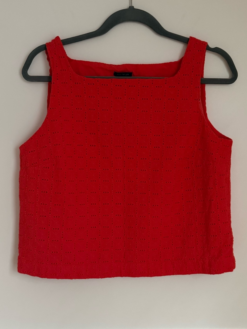 Ann Taylor Eyelet Top